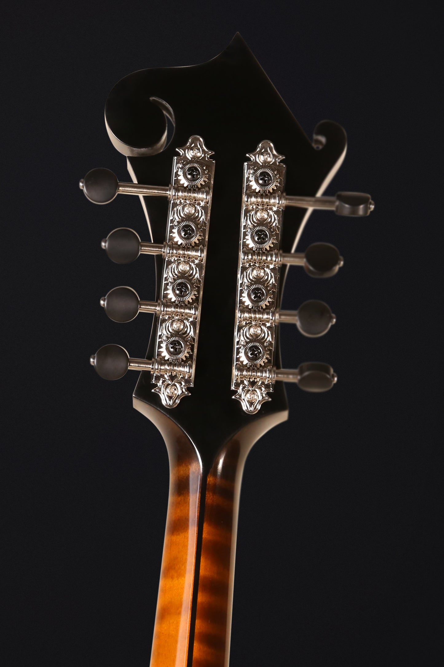 Coostar CMF-210 Mandolin