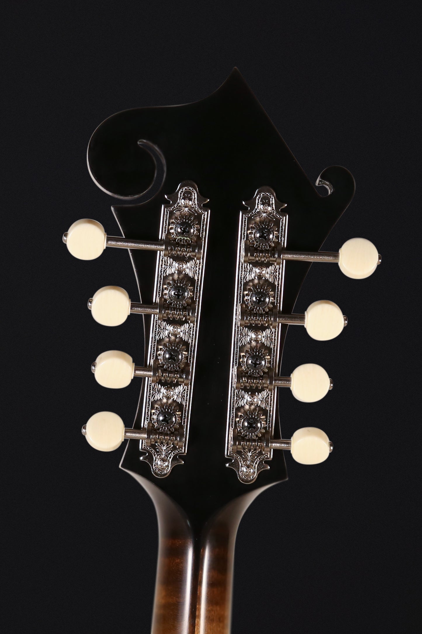 CMF-650 Antique Cremona