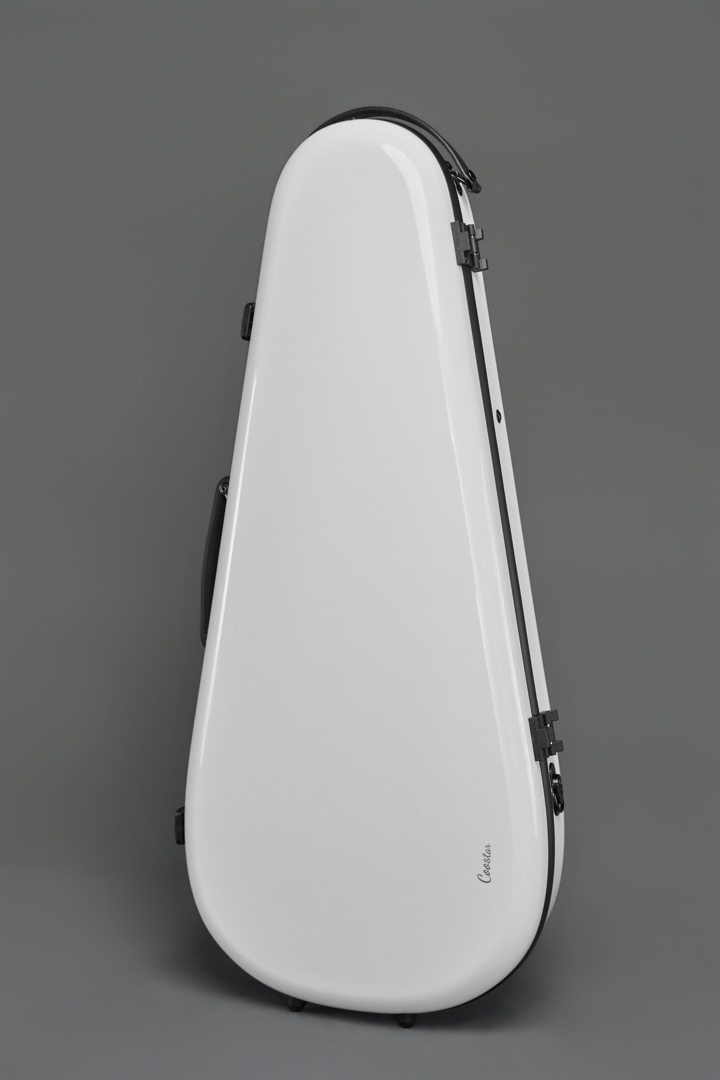 Mandolin case White