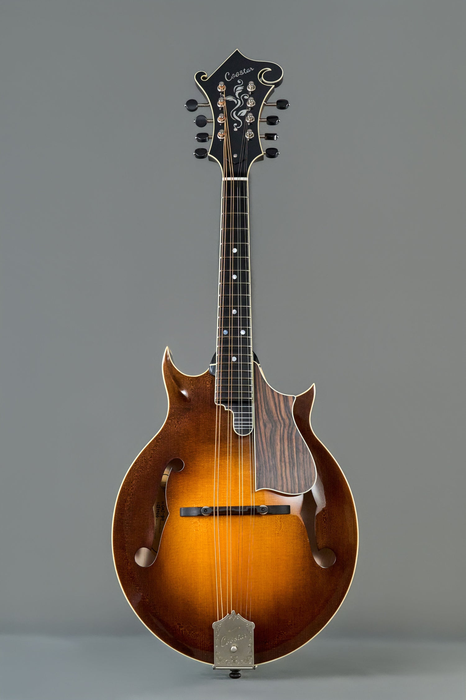 J-style Mandolin