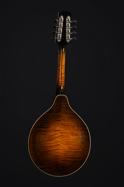 CMA-500 Dark Cherryburst
