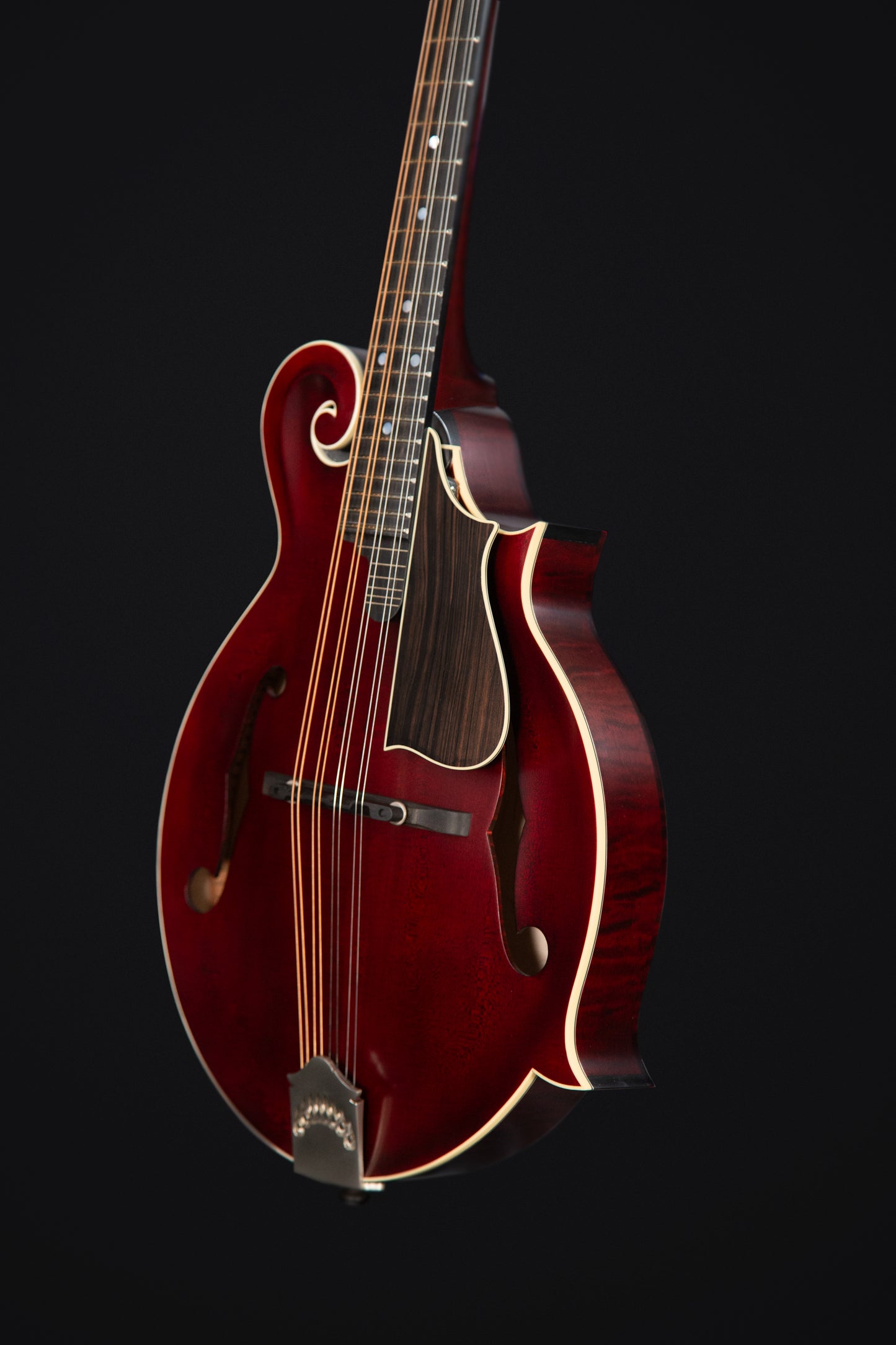 Coostar CFM-600 Mandolin