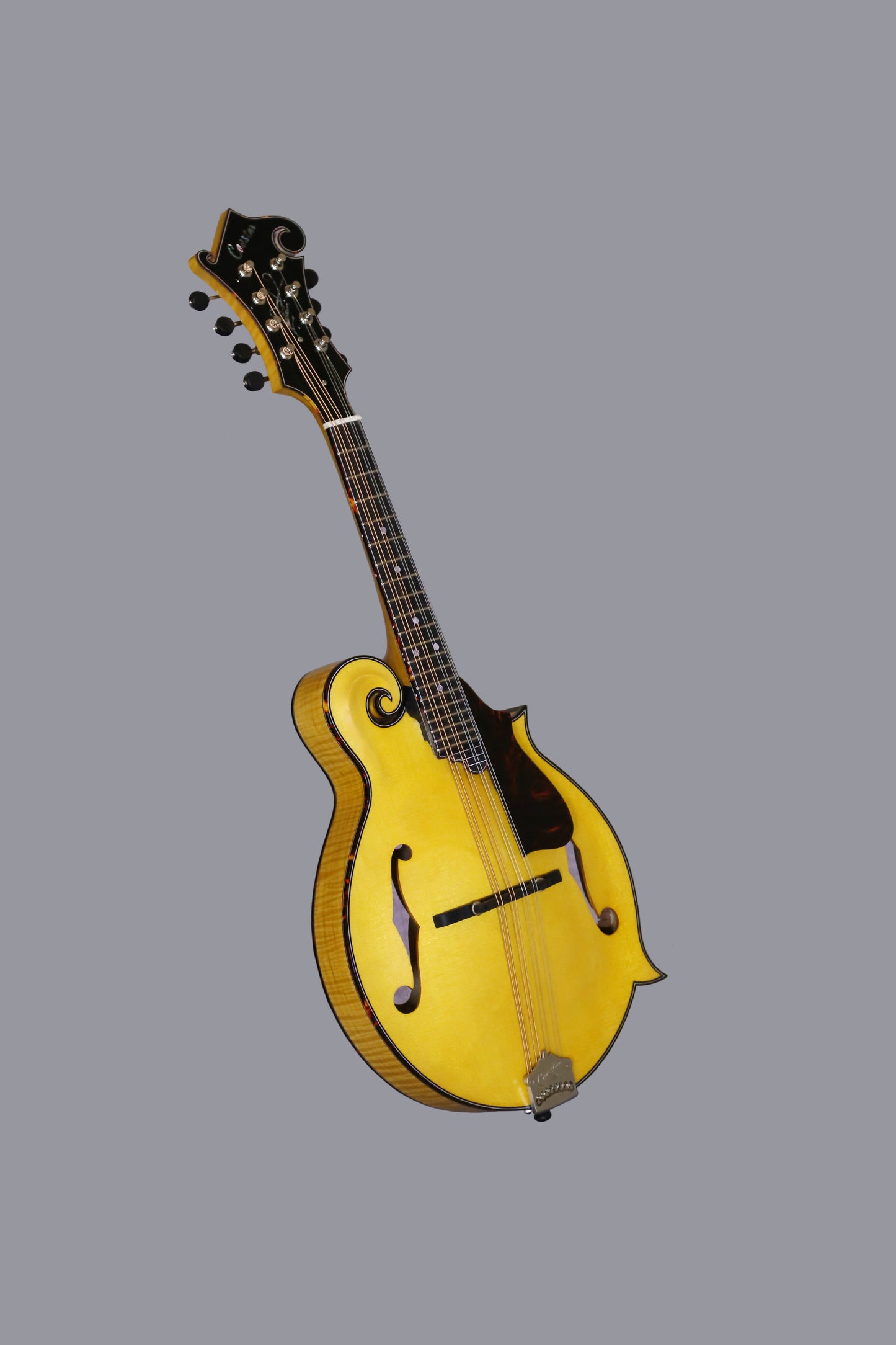 Coostar F5M Mandolin