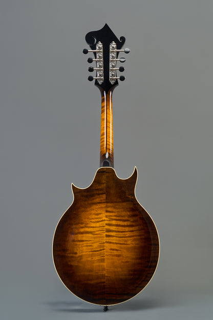 CMJ-910 Dark Cherry Burst