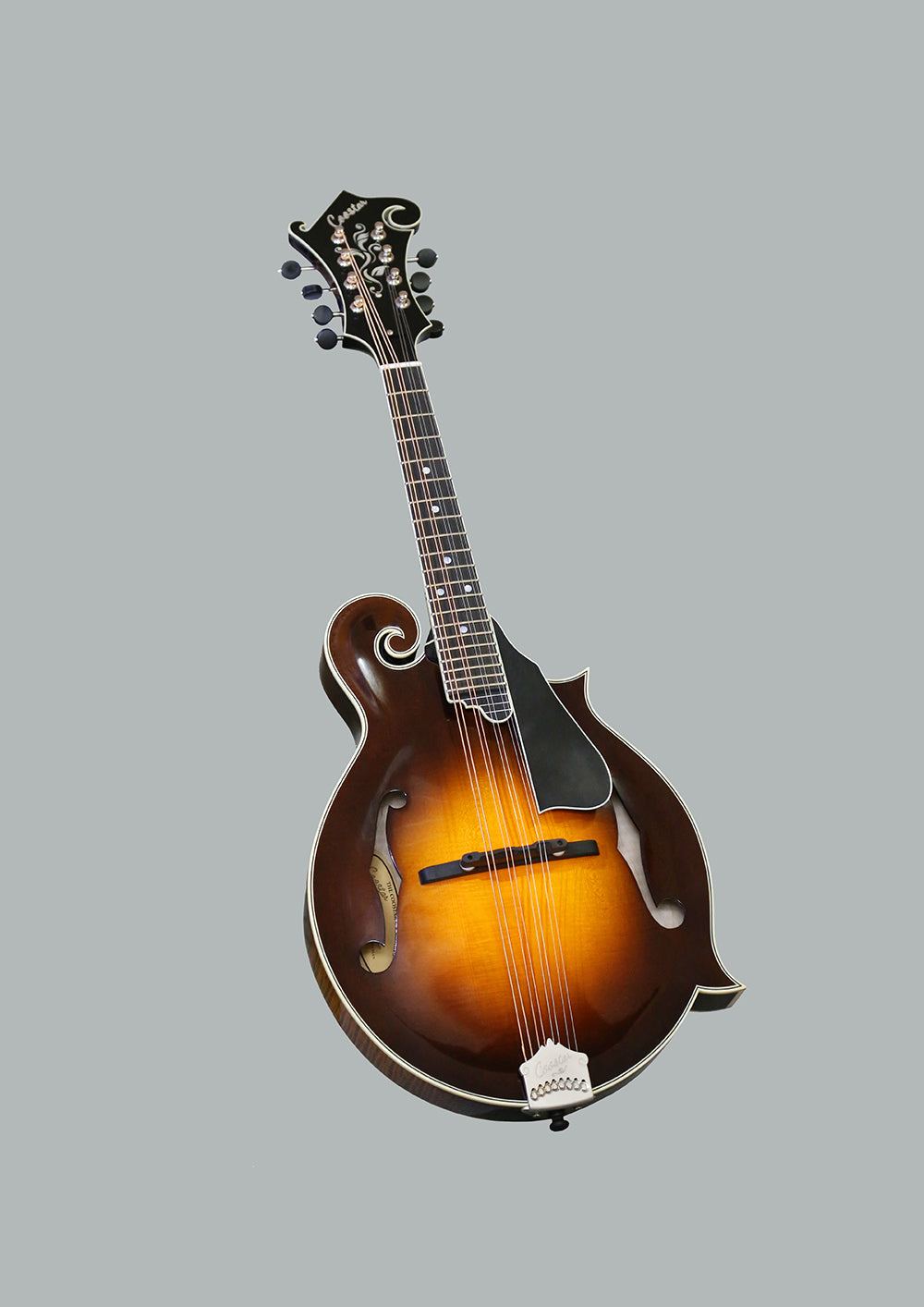 Coostar F5M Mandolin