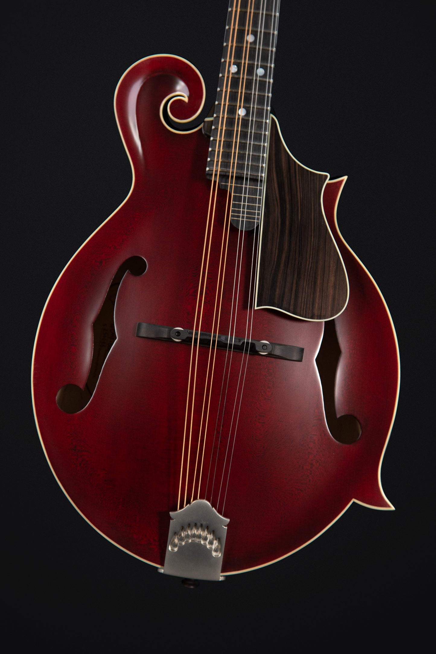Coostar CFM-600 Mandolin