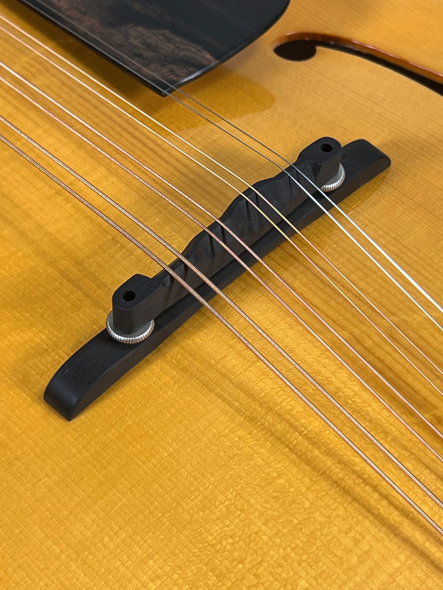 Coostar Octave Mandolin