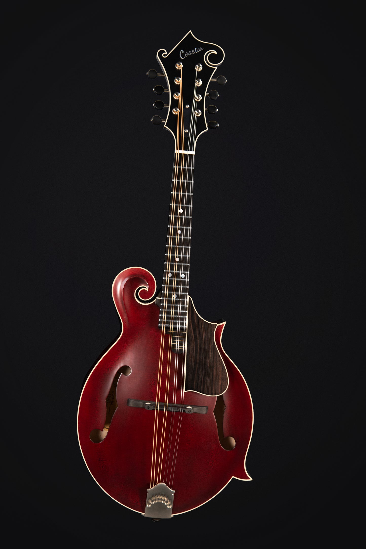 Coostar CFM-600 Mandolin