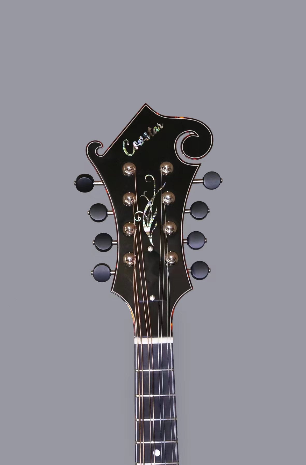 Coostar F5M Mandolin