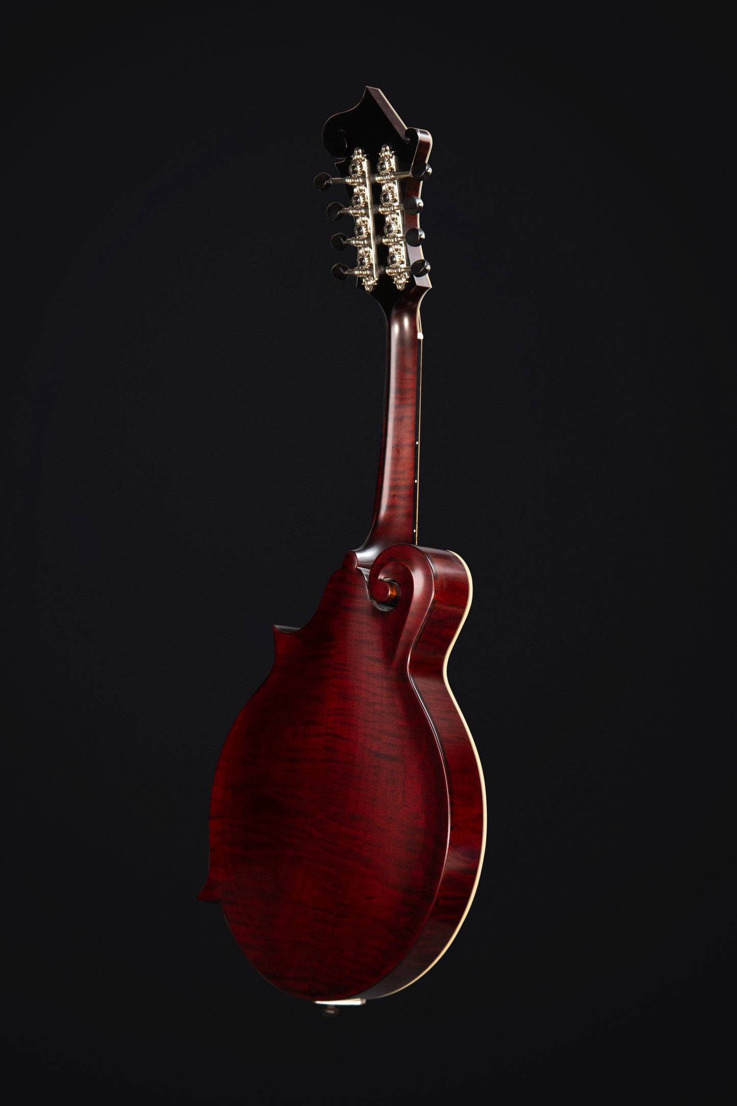 Coostar CFM-600 Mandolin