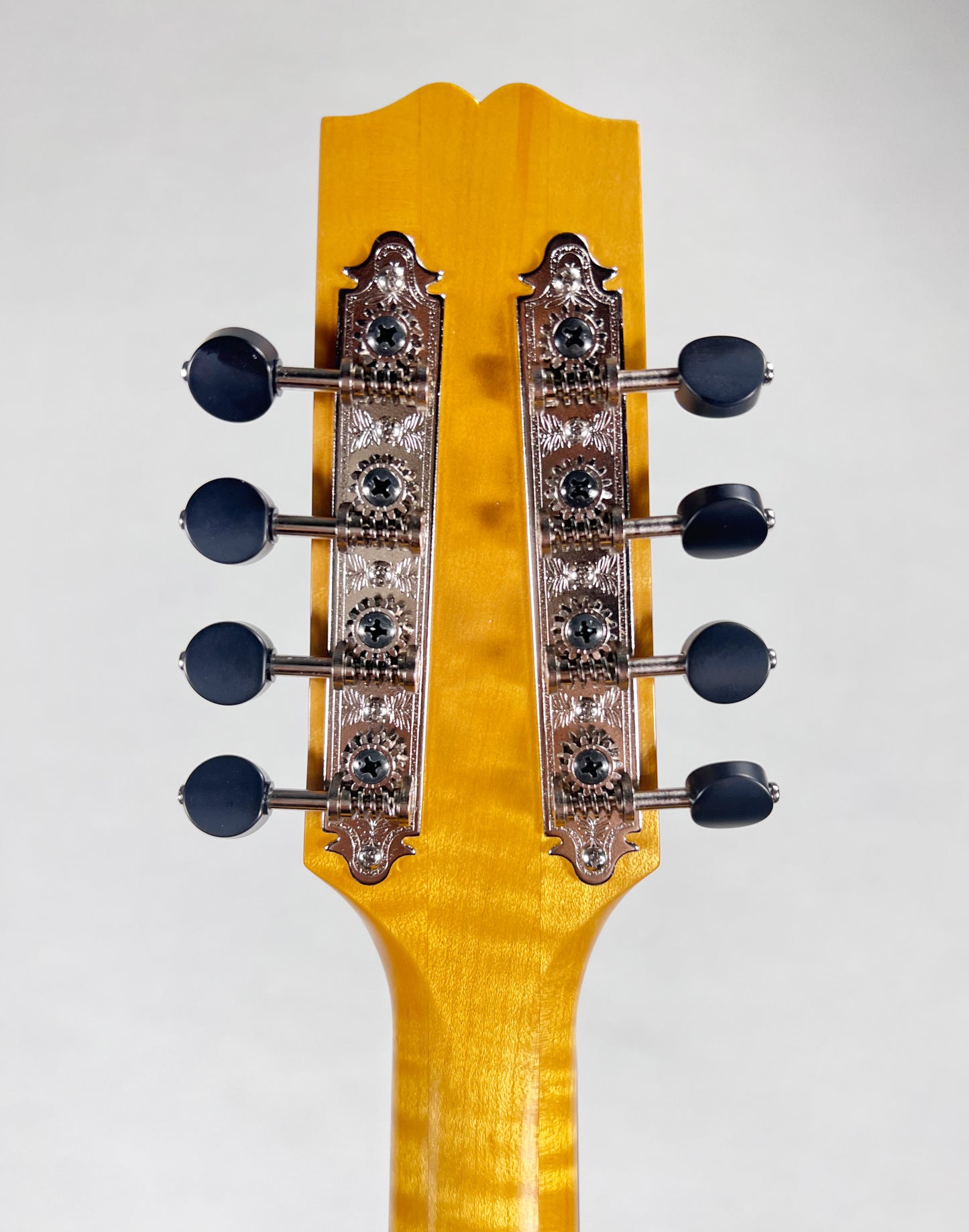 Coostar Octave Mandolin