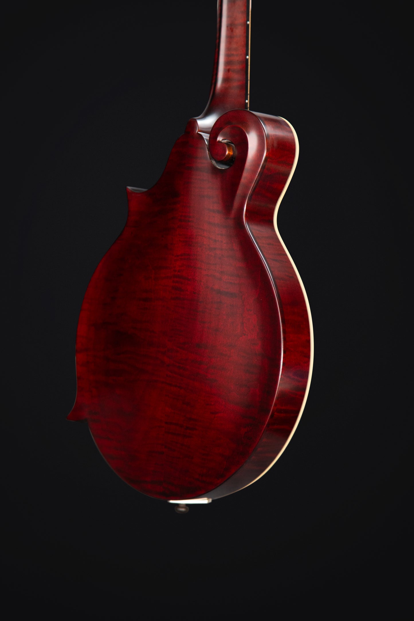 Coostar CFM-600 Mandolin