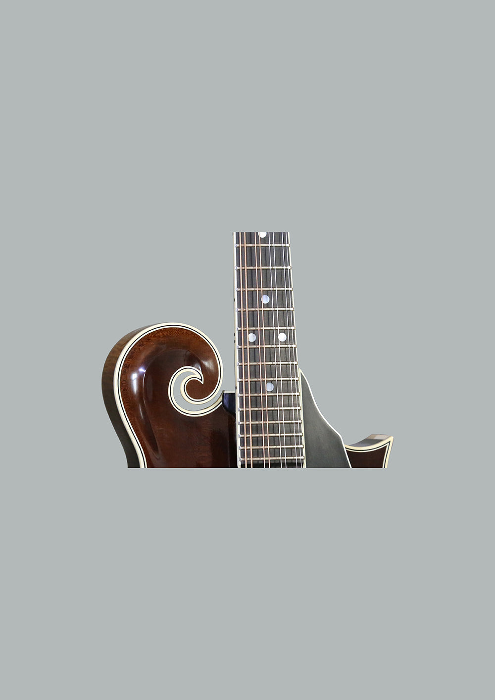 Coostar F5M Mandolin