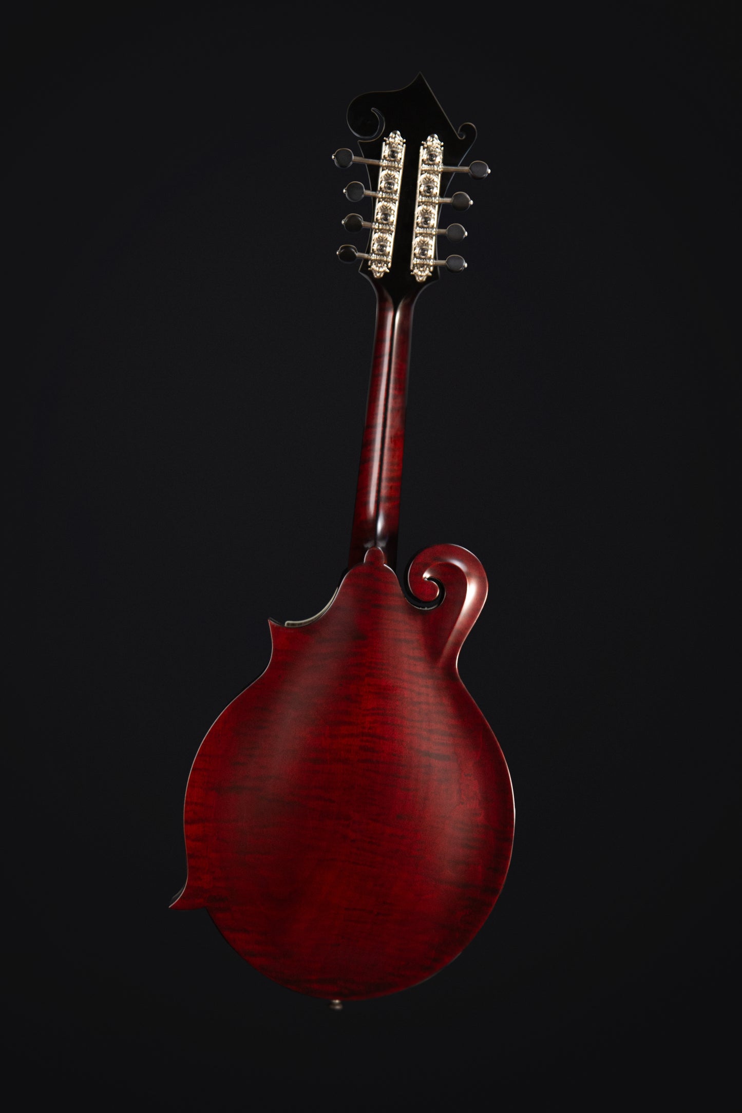 Coostar CFM-600 Mandolin