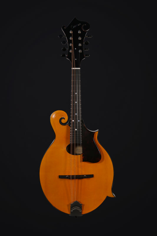 Coostar CMF-220 Mandolin