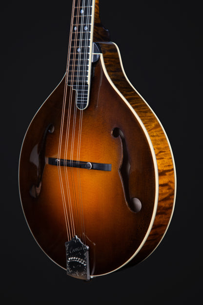 CMA-500 Dark Cherryburst