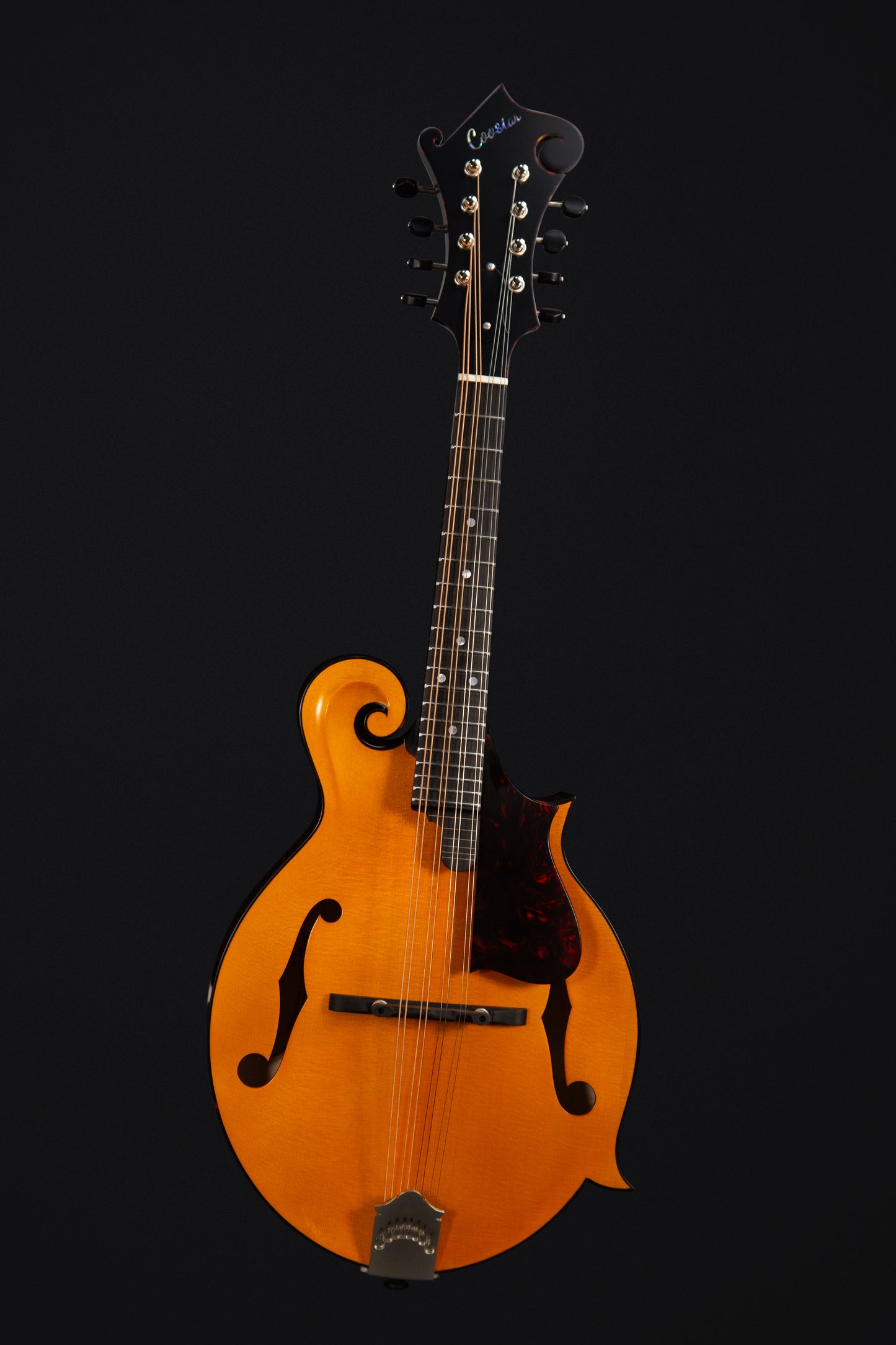 Coostar CFM-600 Mandolin