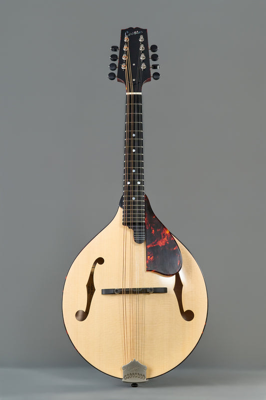 CMA-510 Top Blonde  Back&Neck&Side Bright Red