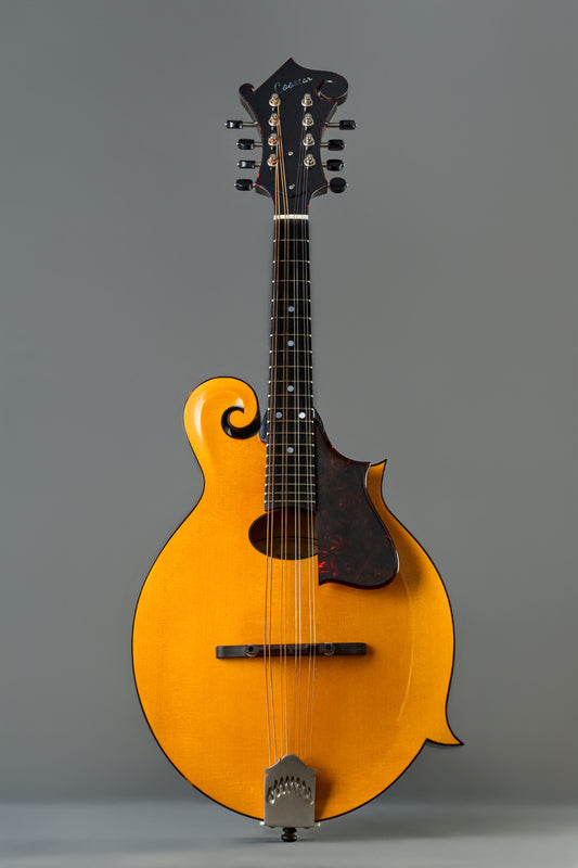 CMF-220  Top Amber Back&Side&Neck Light Brown