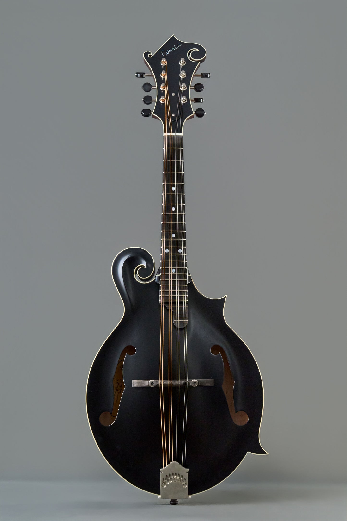 CMF-600  Top Black  Back&Side&Neck Purplish Red