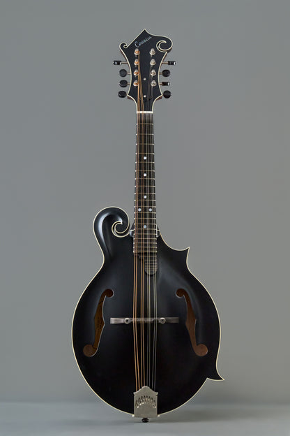 CMF-600  Top Black  Back&Side&Neck Purplish Red