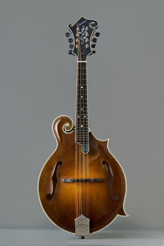 CMF-650 Icelandic Brown