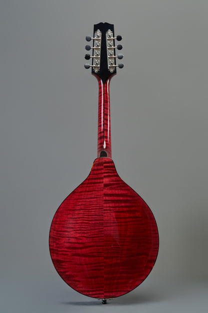 CMA-510 Top Blonde  Back&Neck&Side Bright Red