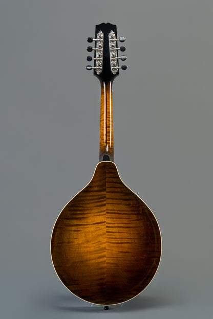 CMA-510 Light Cherryburst
