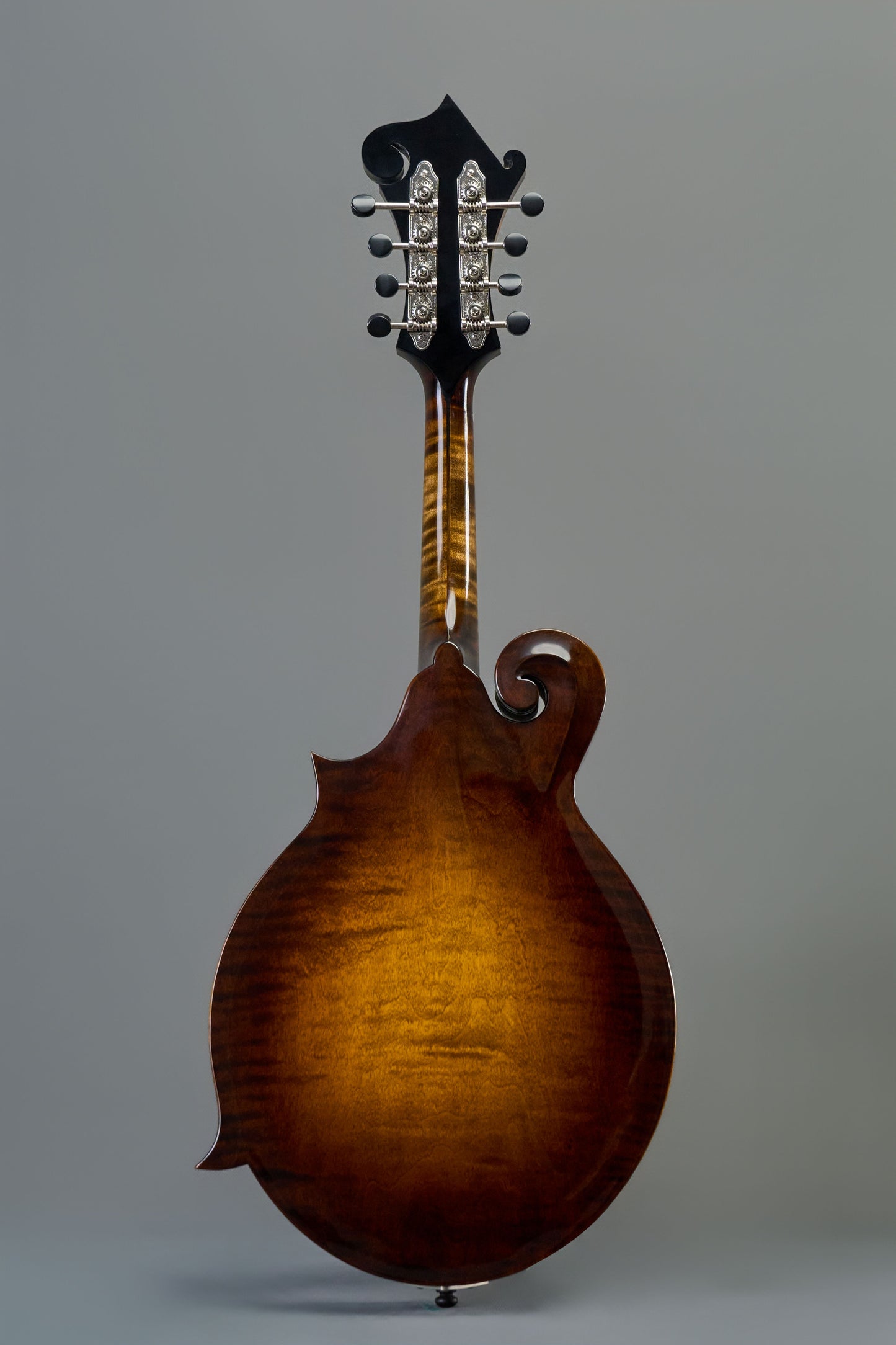 CMF-220  Top Amber Back&Side&Neck Light Brown