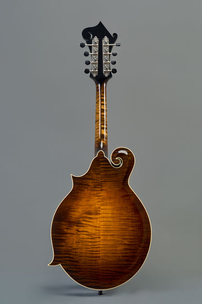 CMF-610 Sunburst