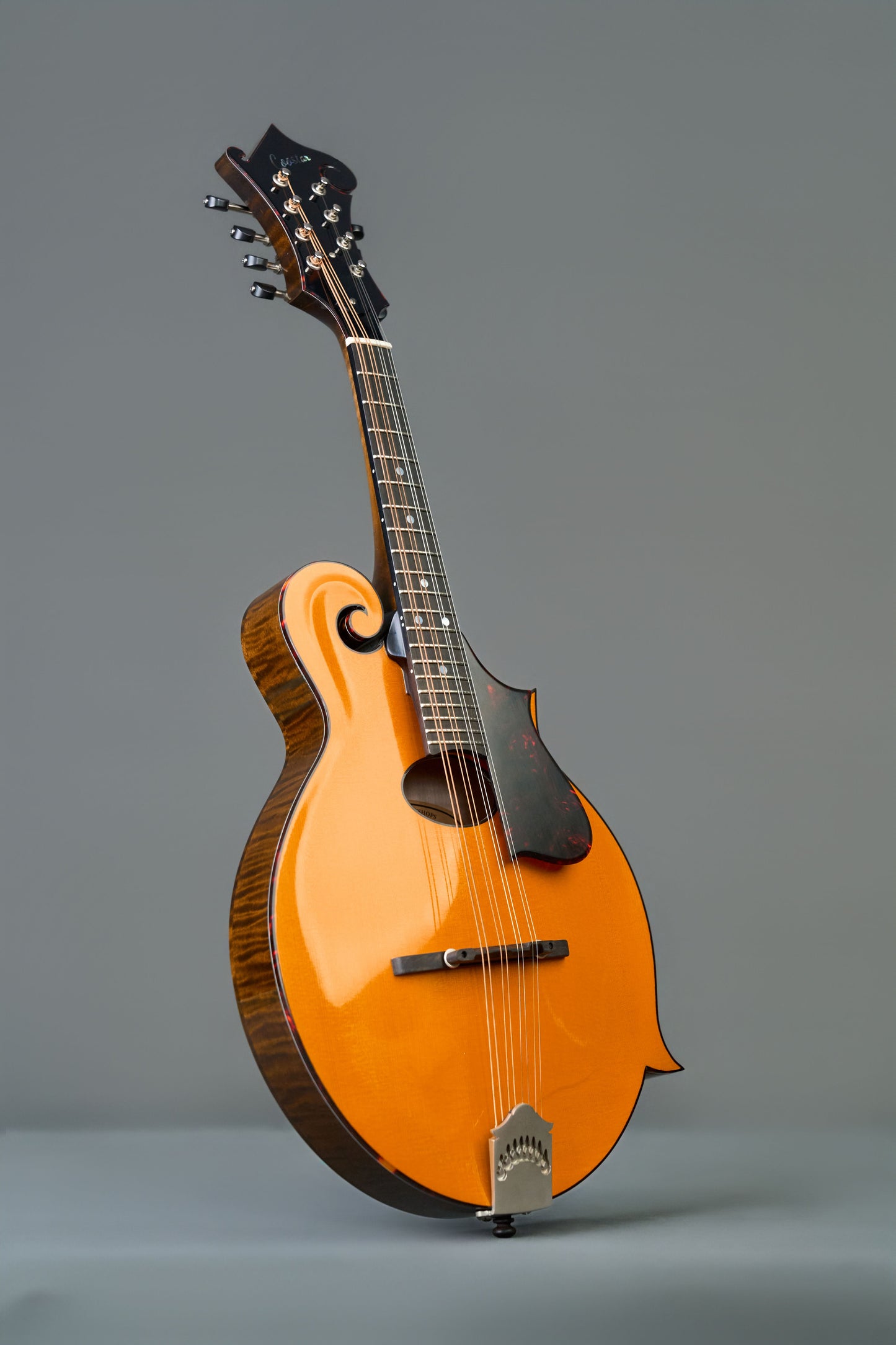 CMF-220  Top Amber Back&Side&Neck Light Brown