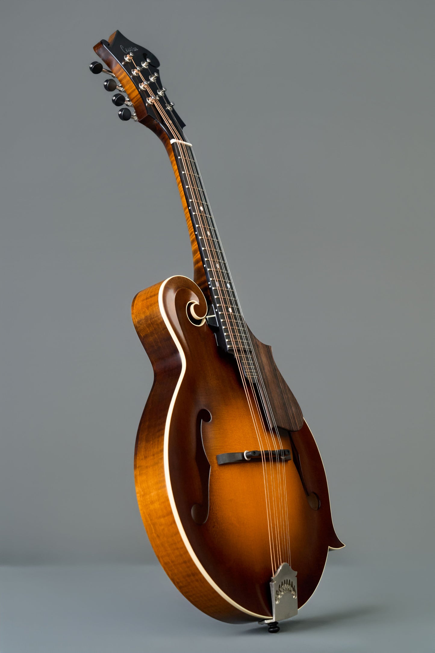CMF-601  Sunburst
